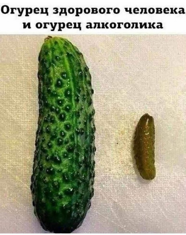 Так себе картинки 10.09.25