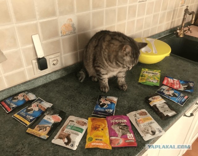Тоже стал рабом