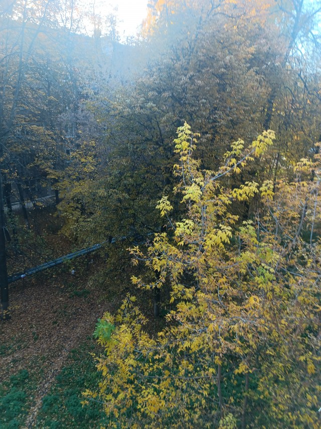Вот и осень к нам пришла