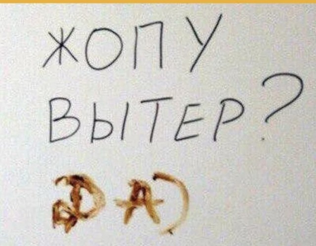 «Закладки ищете? Да я ж@пу вытереть хочу»