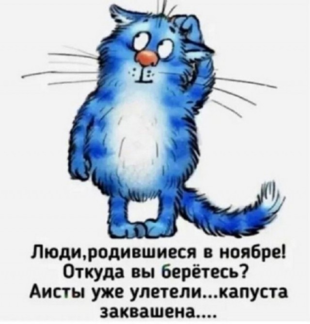 Так себе картинки 07.11.25