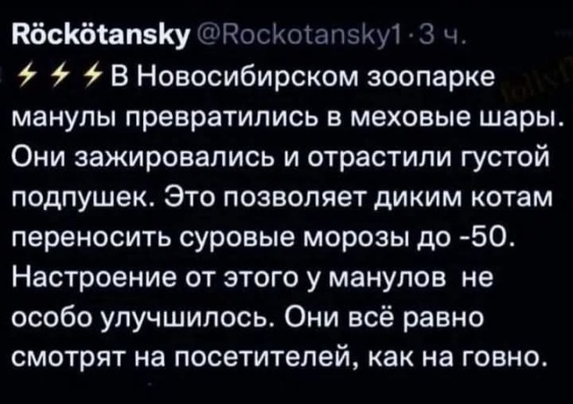 Среды картинки