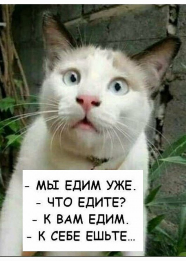 "Гостеприимная" Абхазия.