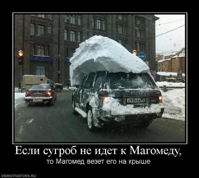 Склад баянов