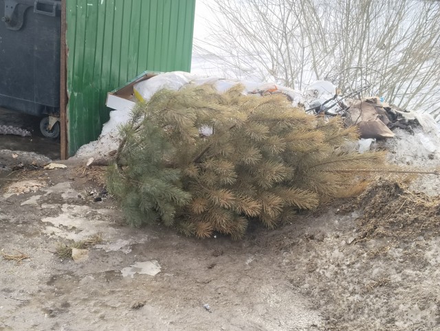 Очередной слабак!