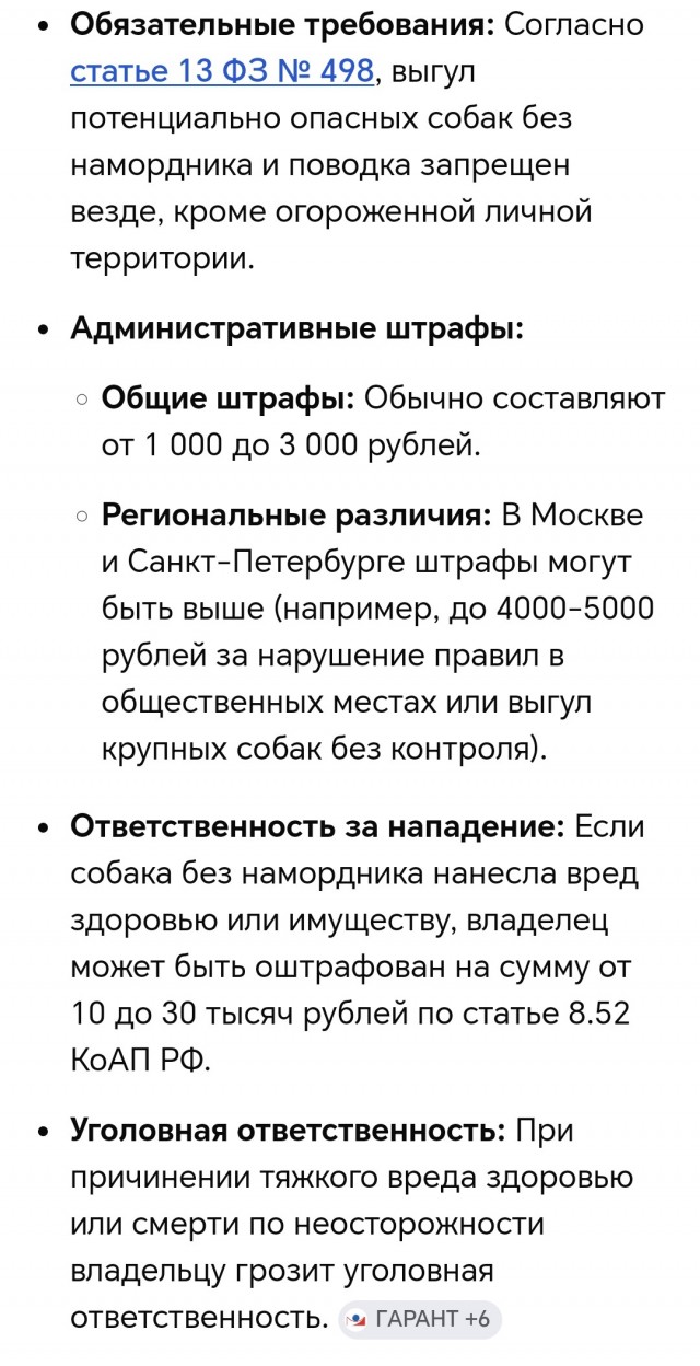 Разъярённые псы вцепились друг другу в горло в Янино