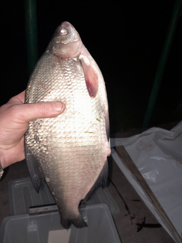 Помогите понять причину неуда, плиз