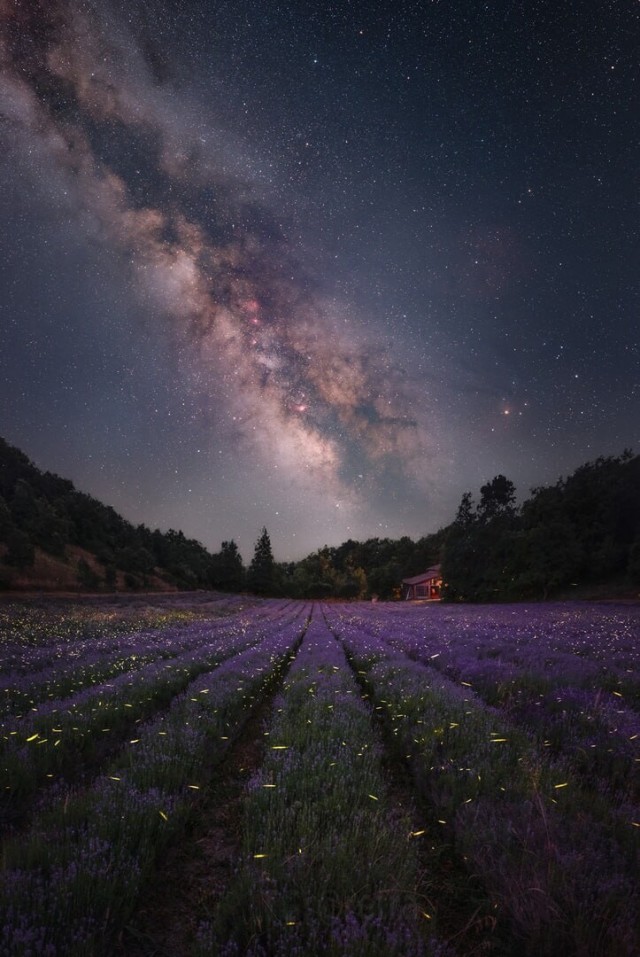 Лучшие снимки Млечного Пути по итогам конкурса Milky Way Photographer of the Year 2026.