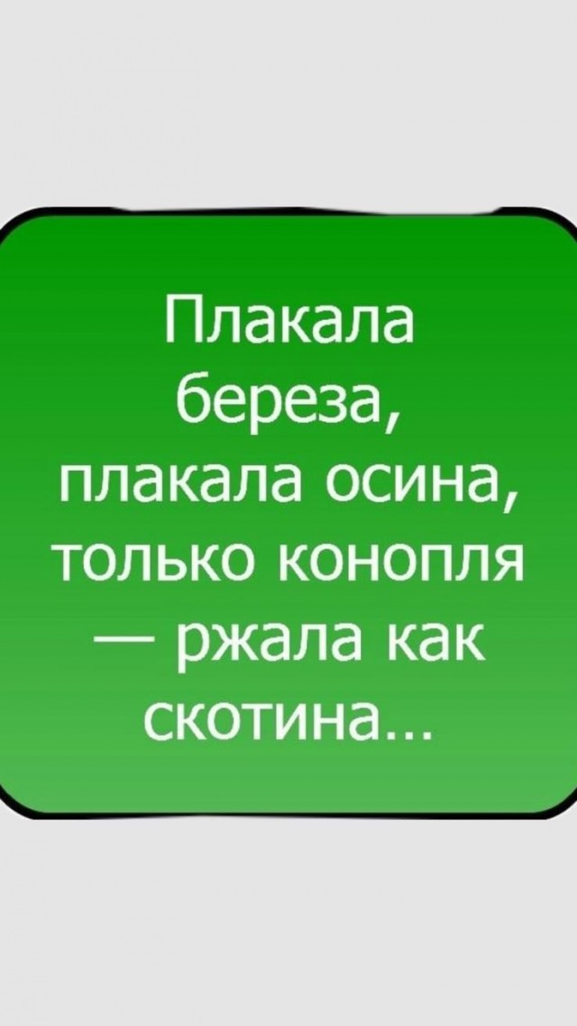 Мемы 30 штук к понедельнику