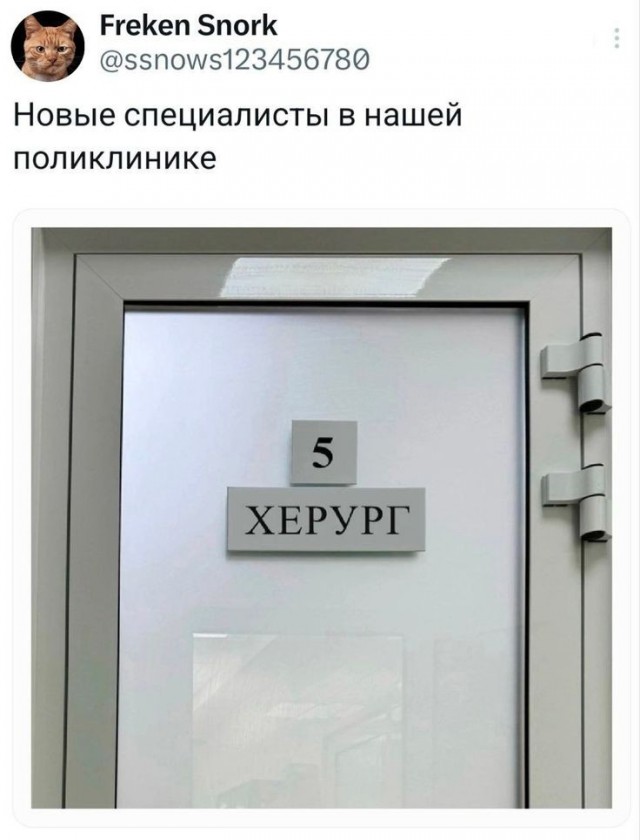 Веселые картинки в пятницу 07.08