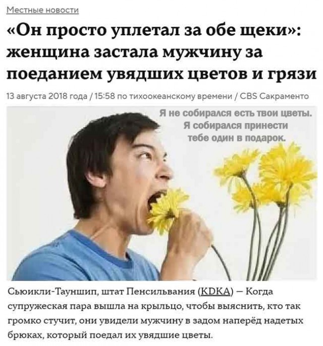 Пьяный мужик вломился с булыжником в цветочный магазин в Кировской области — ради того, чтобы попросить закурить