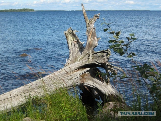 Отпуск в Карелии 2013