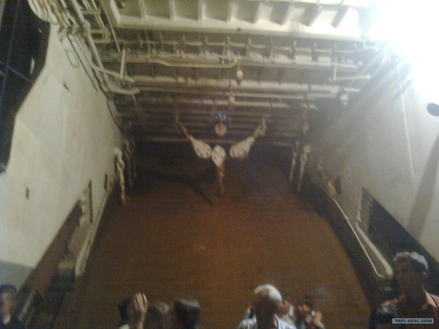 К.Ольшанский В Николаеве