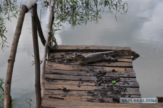 Остров Сан-Андрес