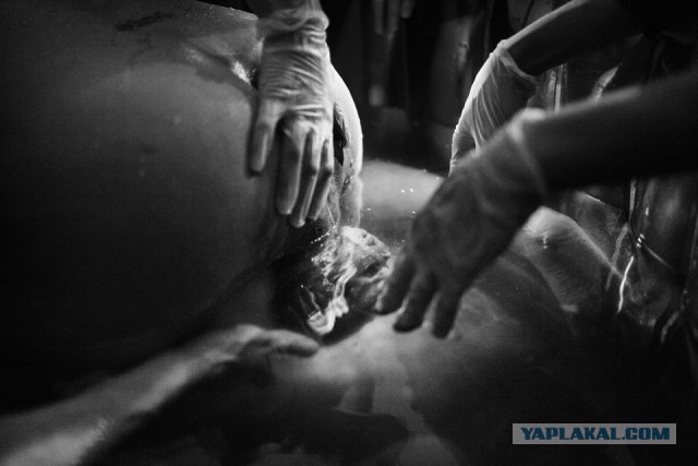 Как рождаются дети