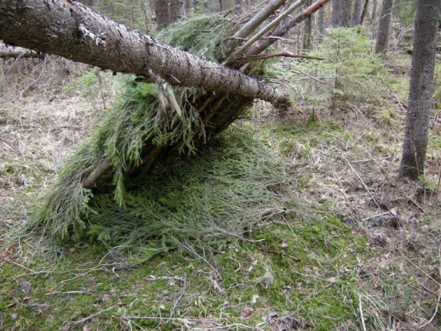 Устройство бивака в лесу