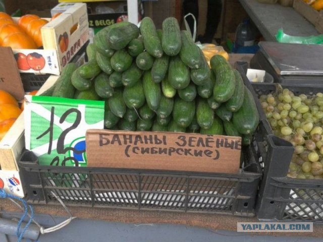 Чёрт, чёрт, чёрт!