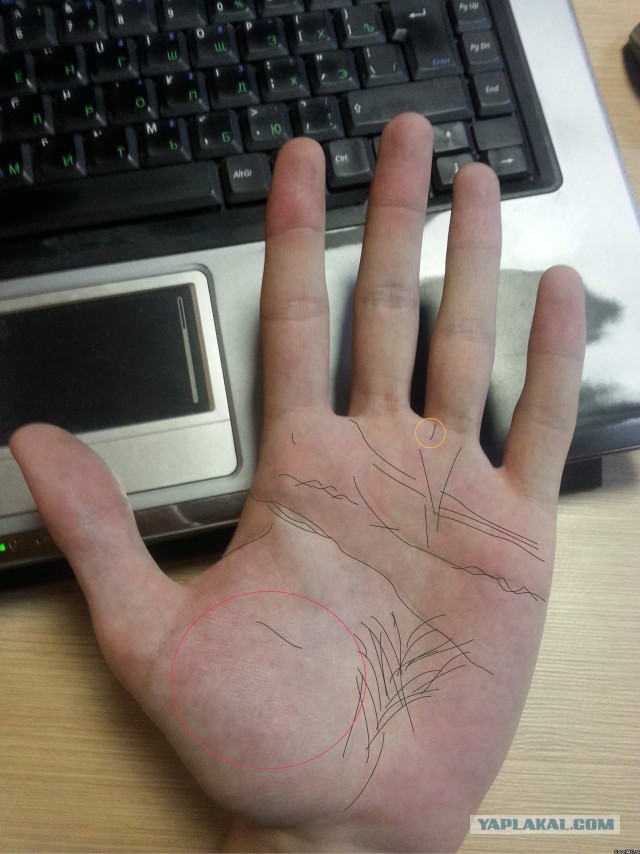 Исследую Хиромантию
