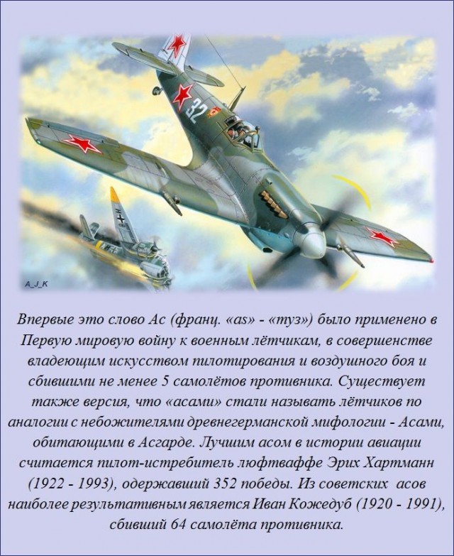 20 фактов обо всем