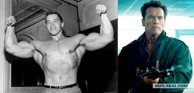 Как повзрослели звезды нашей молодости