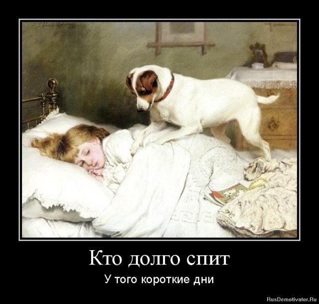 Вы хотите "демов"? часть 2-я