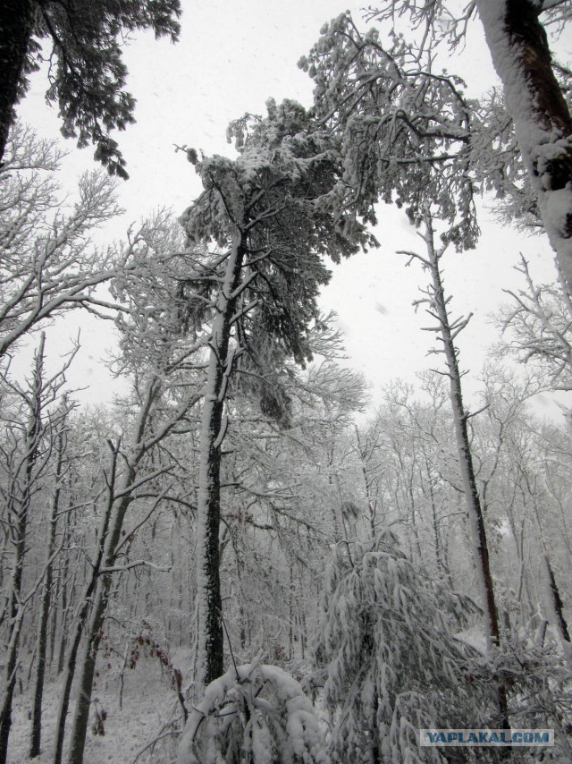 Деревенская Америка