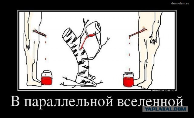 Где-то в Параллельной Вселенной