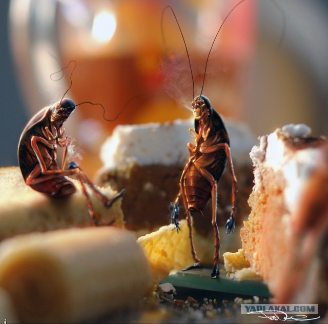 Рисунки: фантастика, фентези, Sci-Fi