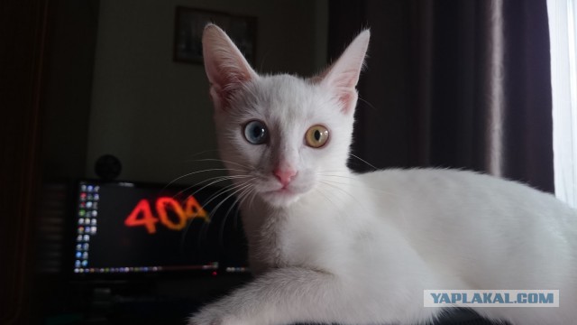 Те, которым мы помогли.