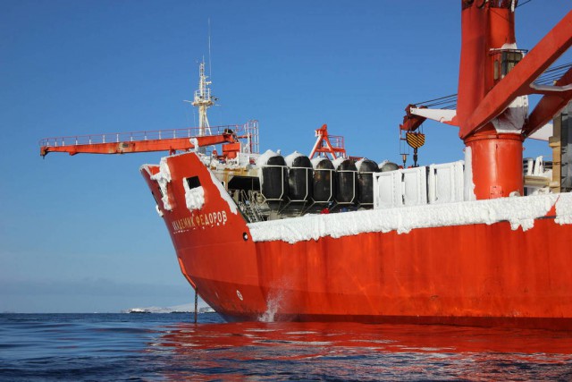 Полтора года зимы