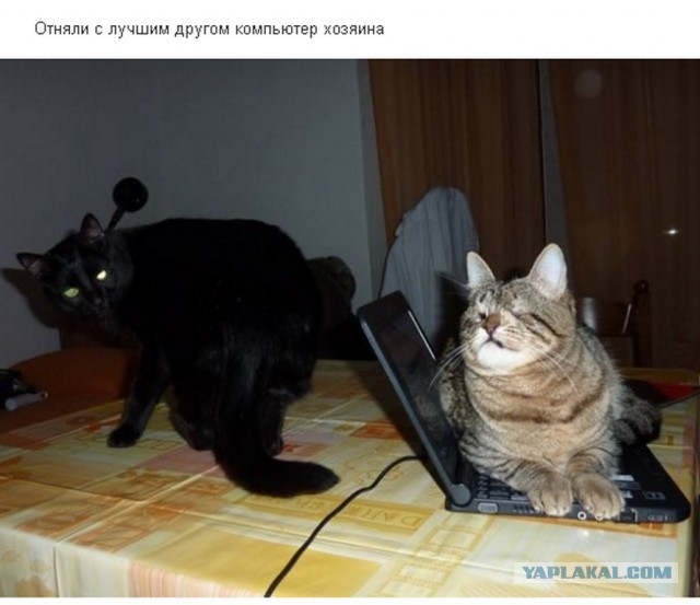 Забота о ближнем