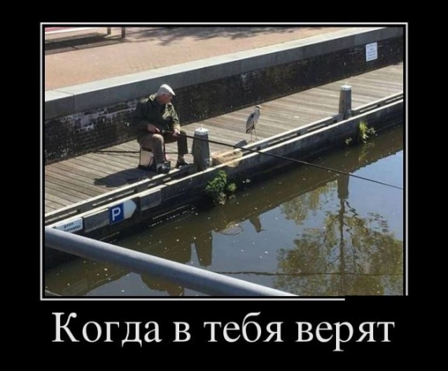 Так и живём! Картинки с надписями для позитивного настроя. Бодрого вам дня!