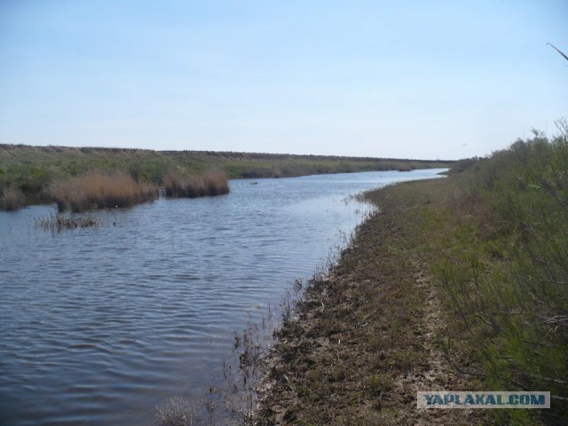 Степи Казахстана