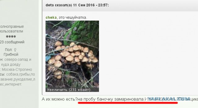 ЯП-всезнающий, помоги разобраться! Всего 5 фото