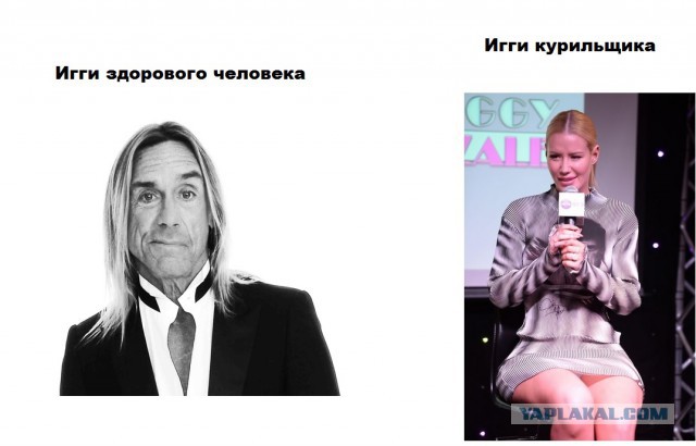 Игги Азалия: Моя вагина — лучшая!