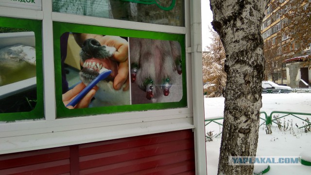 Записываемся на ноготочки