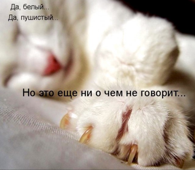 Фото из этих ваших интернетов.