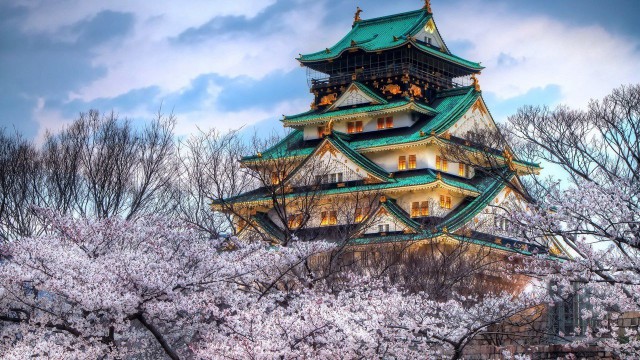Моменты, запечатлённые на фото и просто позитив 5