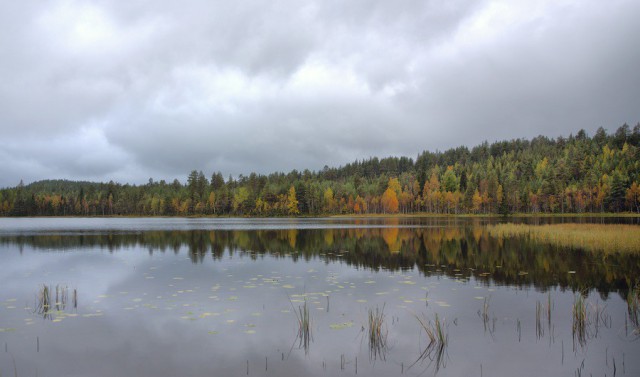 Карелия. Паанаярви