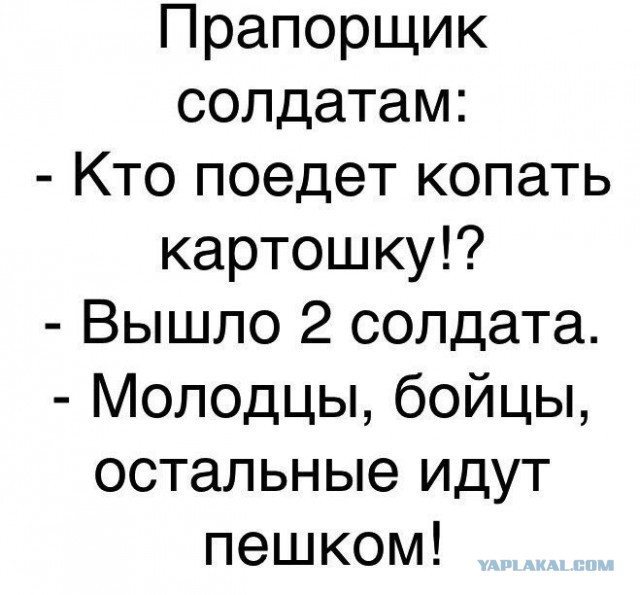 Забавные шутки, фразы и комментарии из этих ваших интернетов