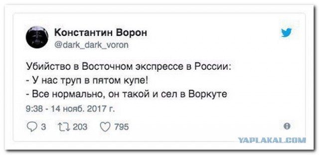 Смешные комментарии из социальных сетей 24.11.2017