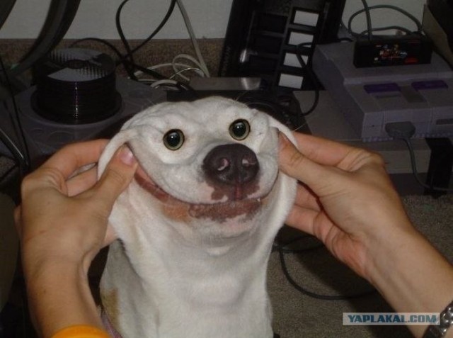 Фарерские острова. Истерическое