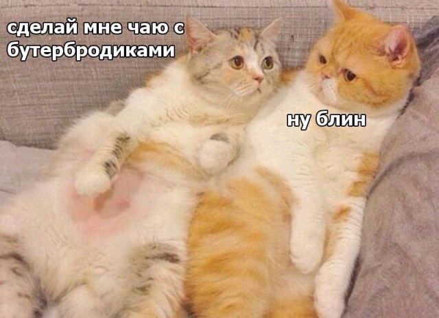Подборка интересных и веселых картинок