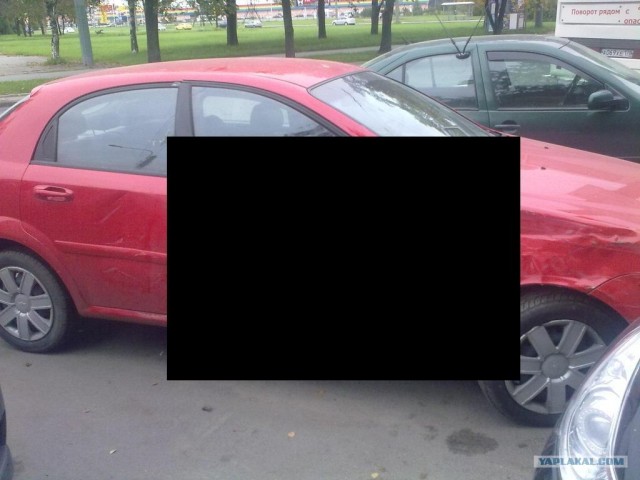 Ренгеновский снимок на обычный телефон