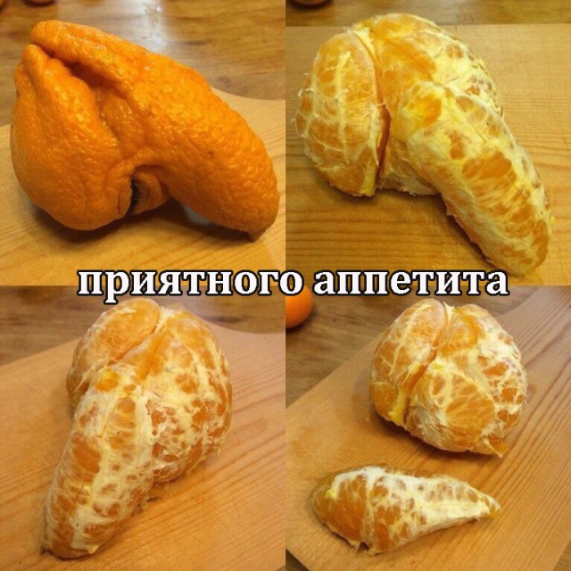 Немного пошлости на вечер субботы