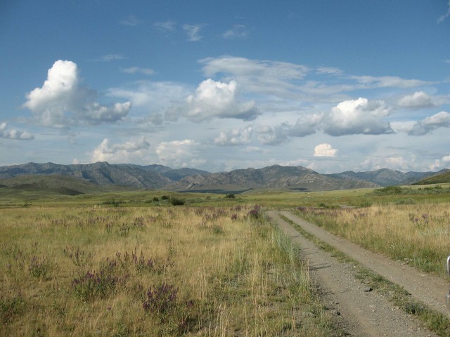 Найдено богатейшее захоронение скифов-саков в Казахстане