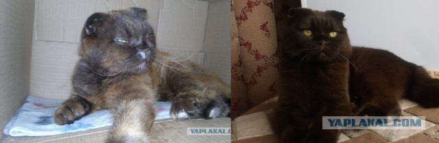 Я уколов не боюсь