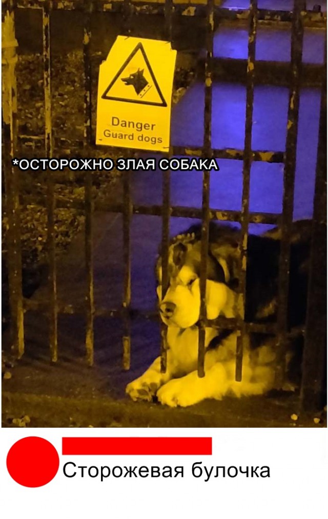 Нестандартный юмор