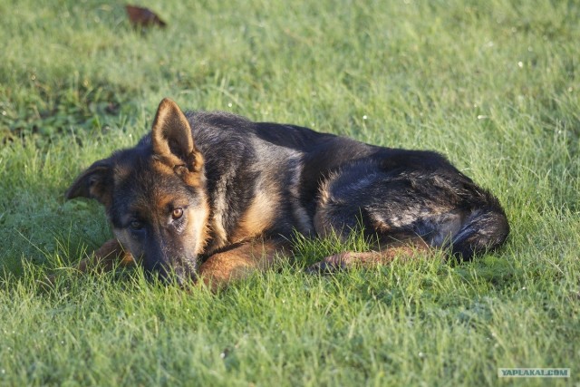 Слушаю вас внимательно!