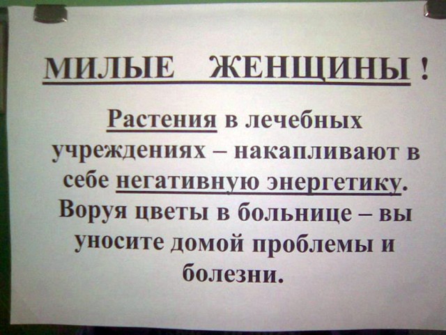 Картинки медицинские с надписями прикольные